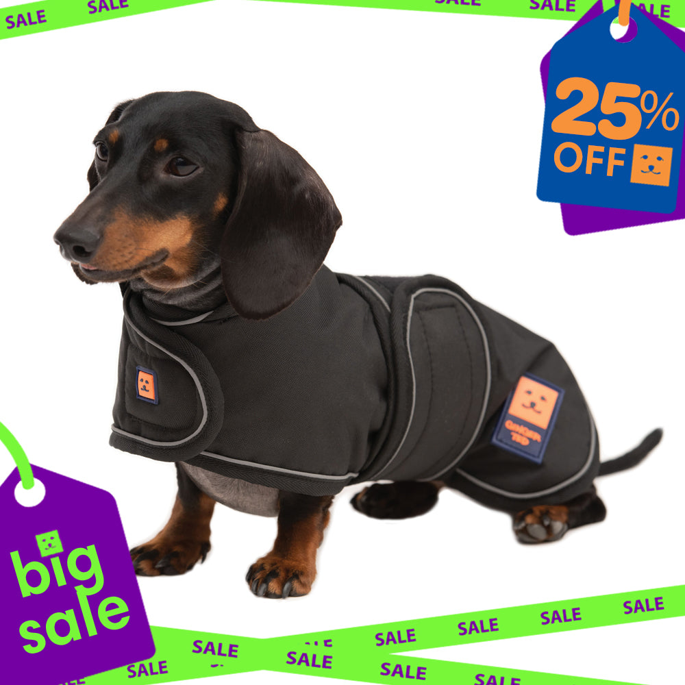 Waterproof Dachshund Dog Coat with Warm Lining