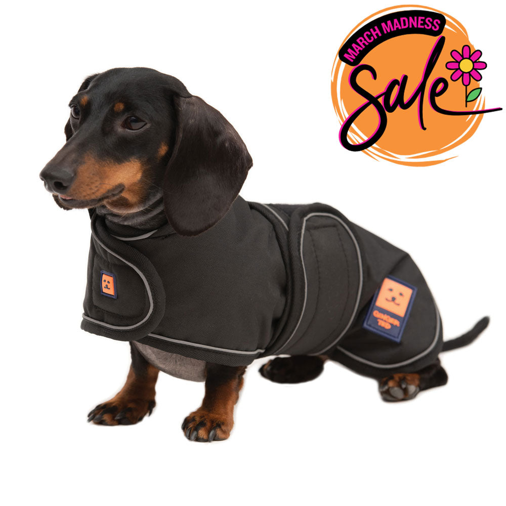 Waterproof Dachshund Dog Coat with Warm Lining