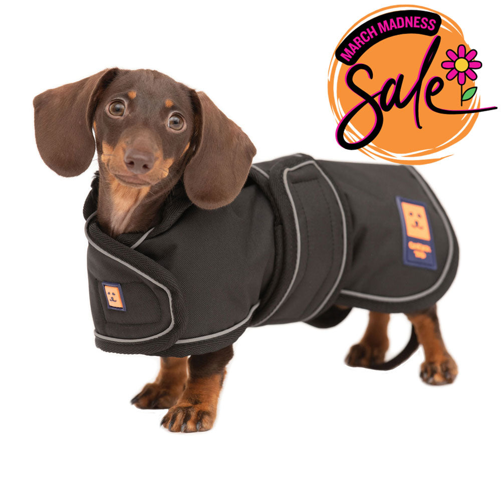 Waterproof Lightweight Dachshund Dog Coat
