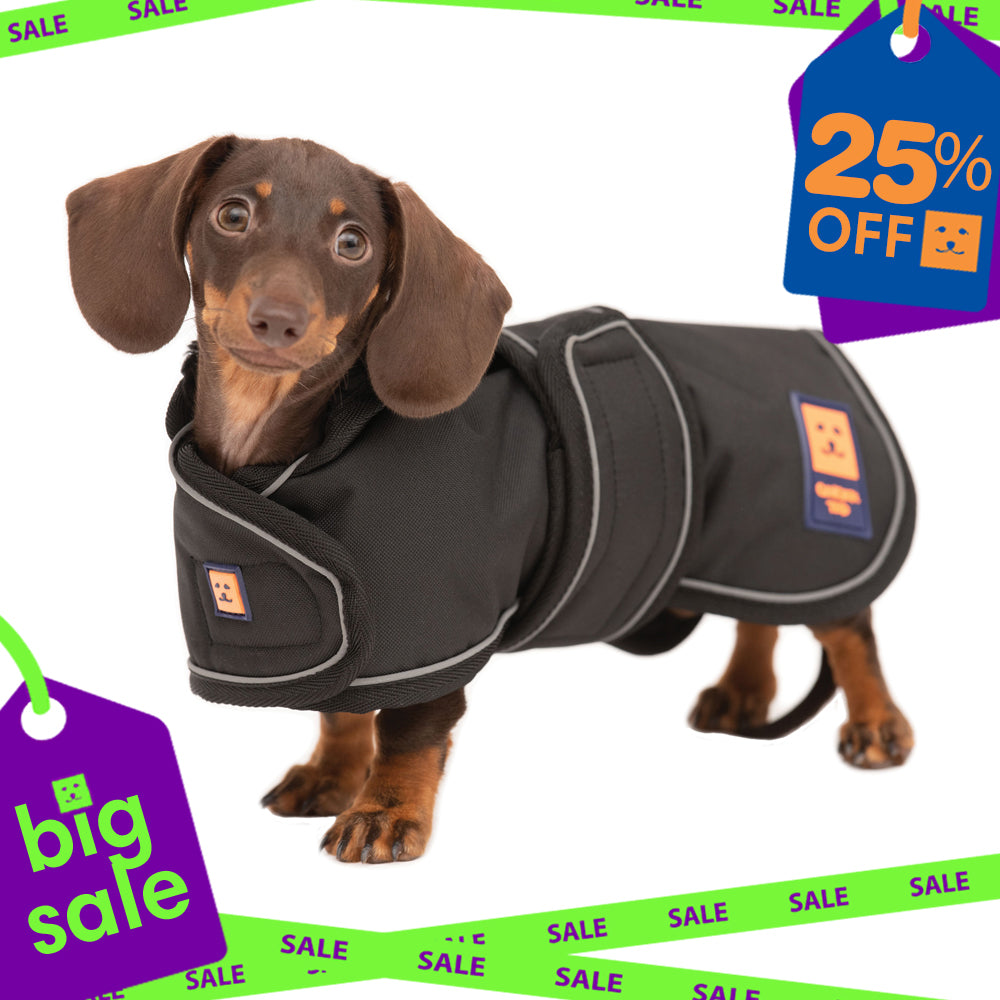Waterproof Lightweight Dachshund Dog Coat