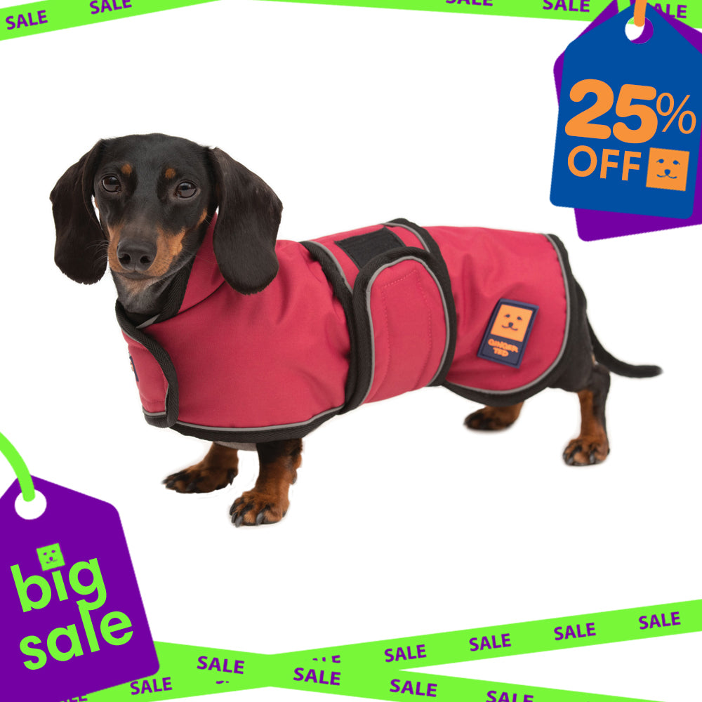 Waterproof Dachshund Dog Coat with Warm Lining