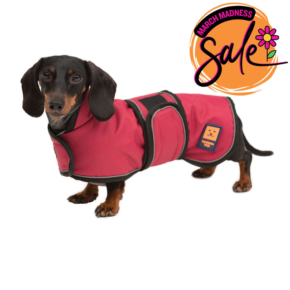 Waterproof Dachshund Dog Coat with Warm Lining