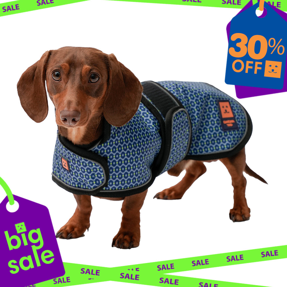 Waterproof Dachshund Dog Coat (Limited Edition Colours) with Warm Lining