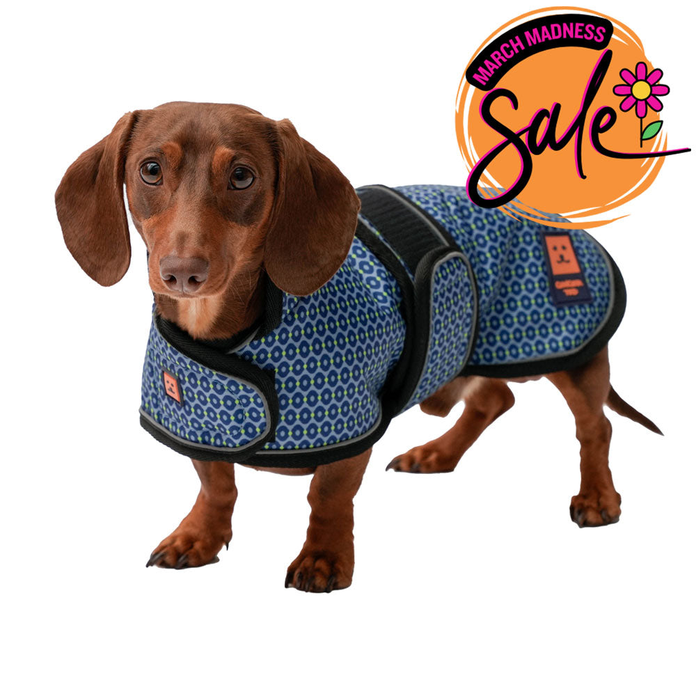 Waterproof Dachshund Dog Coat (Limited Edition Colours) with Warm Lining