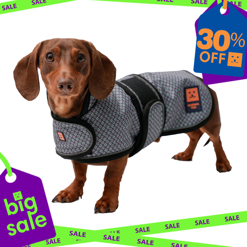 Waterproof Dachshund Dog Coat (Limited Edition Colours) with Warm Lining