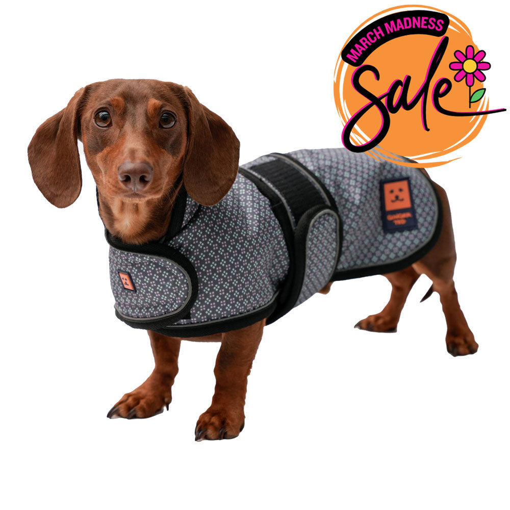 Waterproof Dachshund Dog Coat (Limited Edition Colours) with Warm Lining