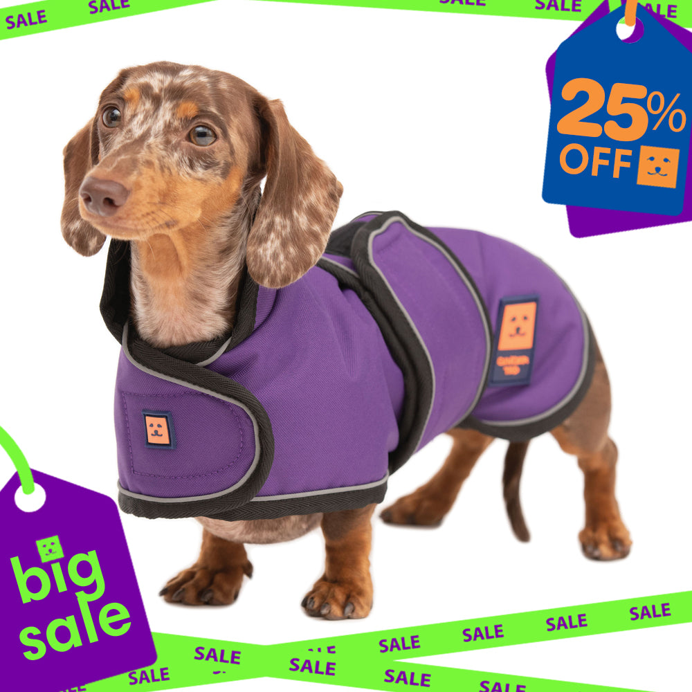 Waterproof Dachshund Dog Coat with Warm Lining
