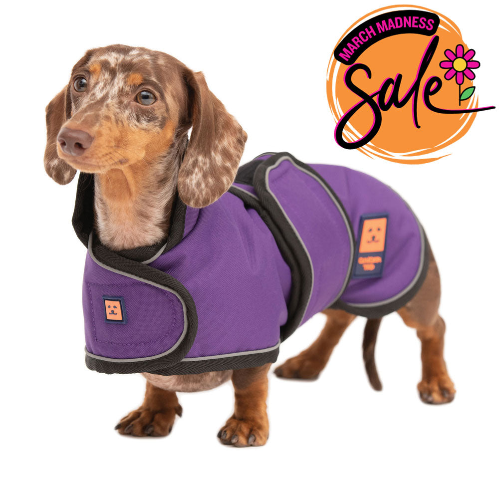 Waterproof Dachshund Dog Coat with Warm Lining