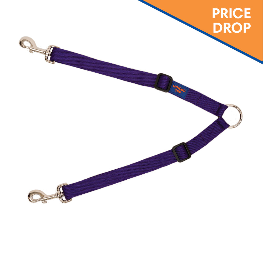 Twin 2 way Coupler Lead