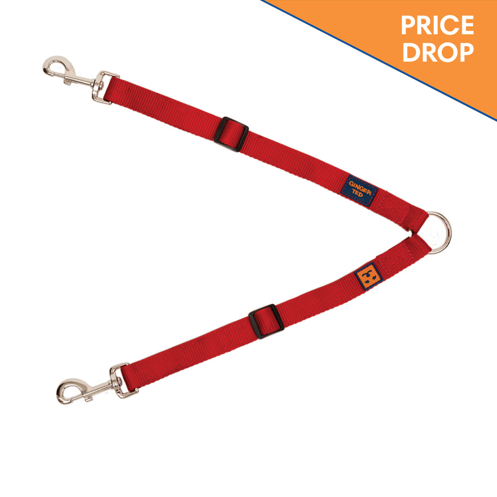 Twin 2 way Coupler Lead