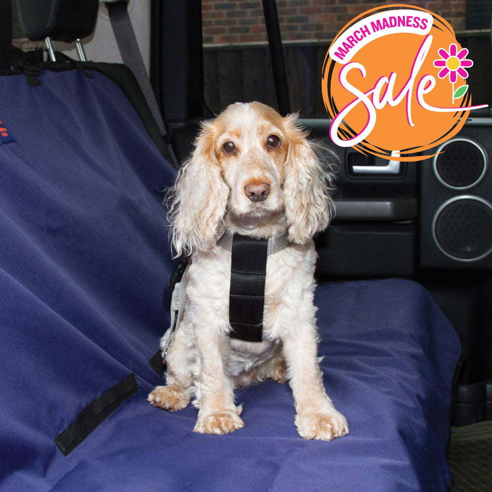 Waterproof Rear Car Seat Cover