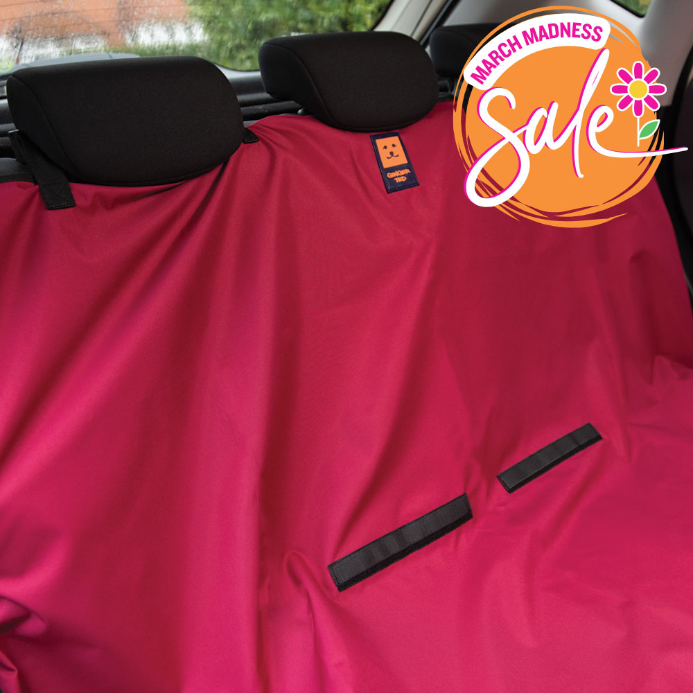 Waterproof Rear Car Seat Cover