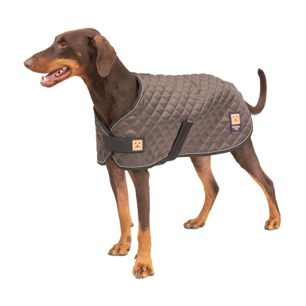 Thermal Quilted Harness Dog Coat Ginger Ted Ltd - Main Image