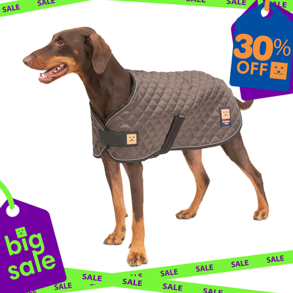 Thermal Harness Quilted Dog Coat