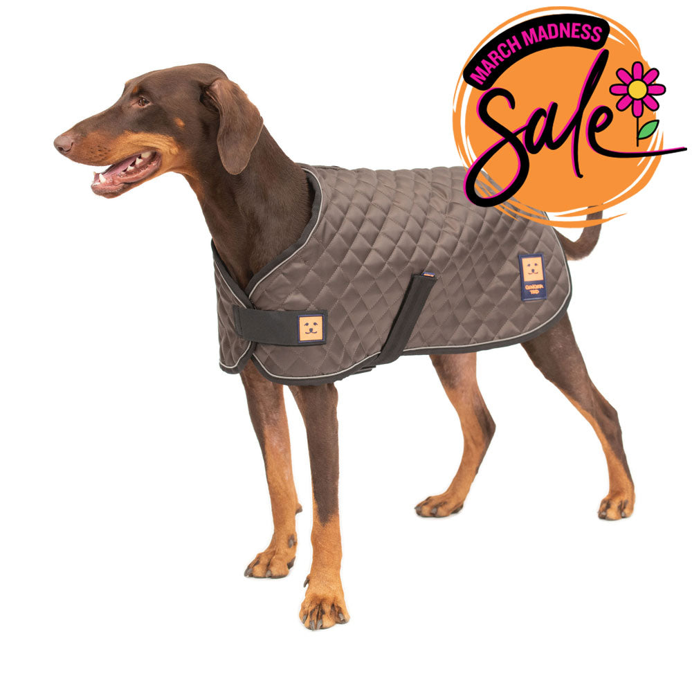 Thermal Harness Quilted Dog Coat