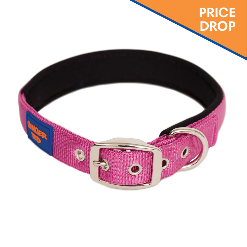 Comfort Nylon Quality Padded Adjustable Dog Collar