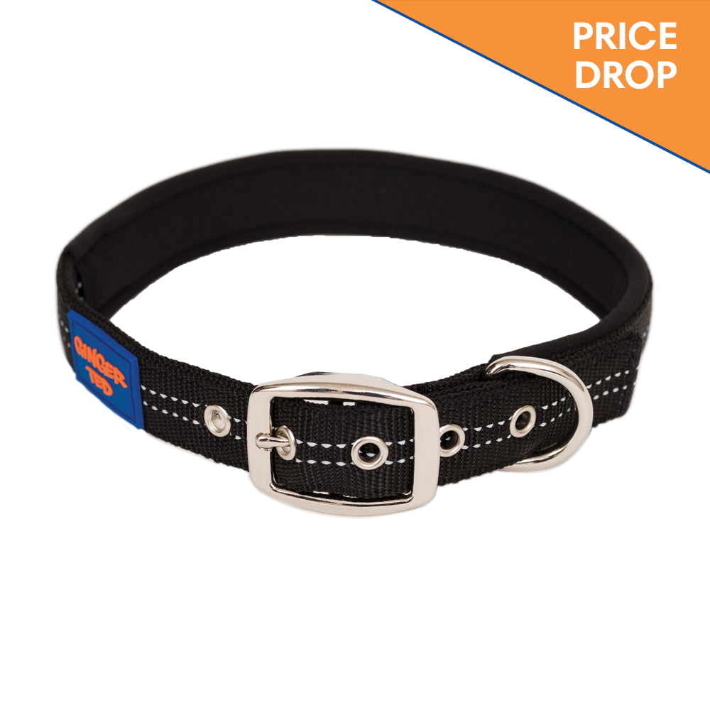 Reflective Comfort Nylon Padded Dog Collar & Lead Value Pack