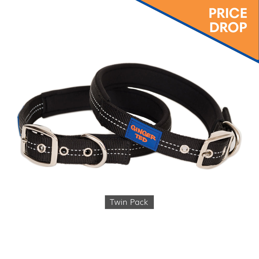 Reflective Comfort Nylon Padded Adjustable Dog Collar