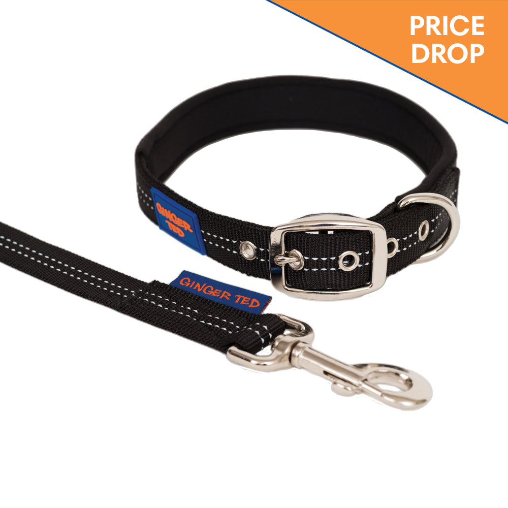 Reflective Comfort Nylon Padded Dog Collar & Lead Value Pack