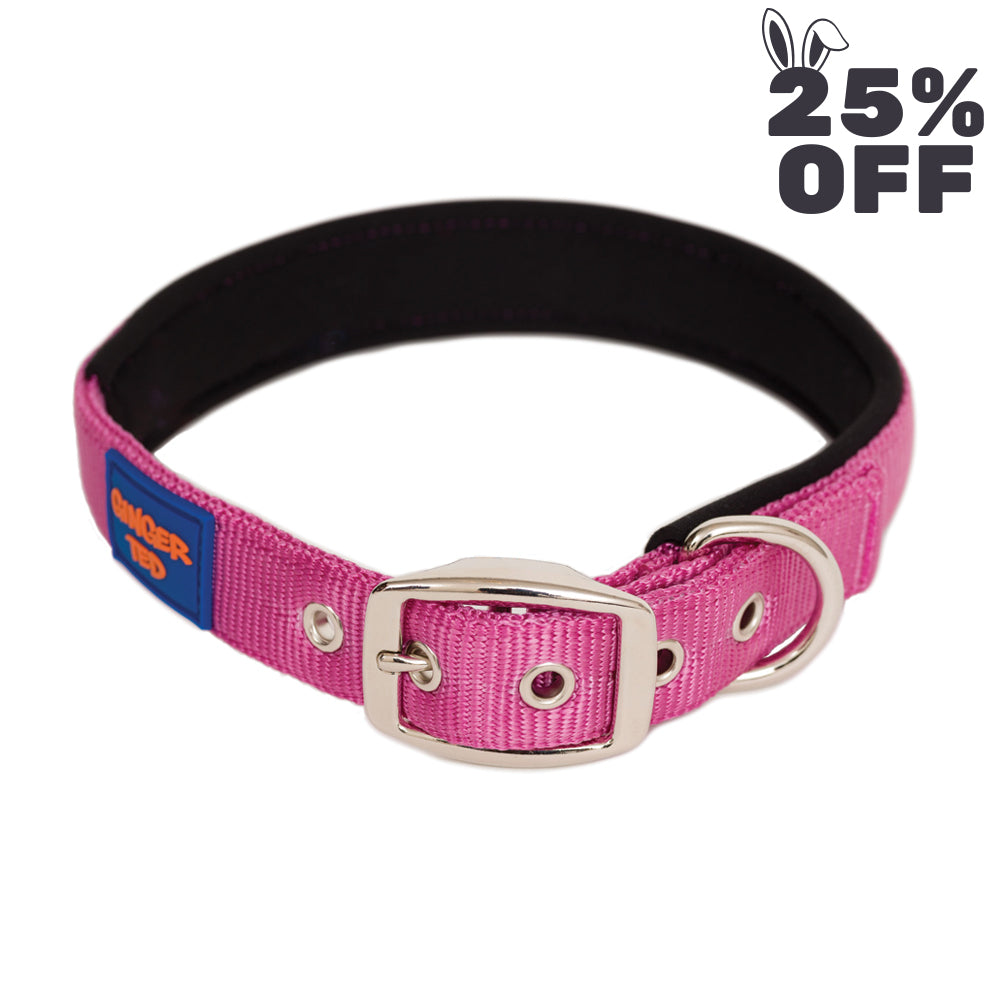 Comfort Nylon Quality Padded Adjustable Dog Collar
