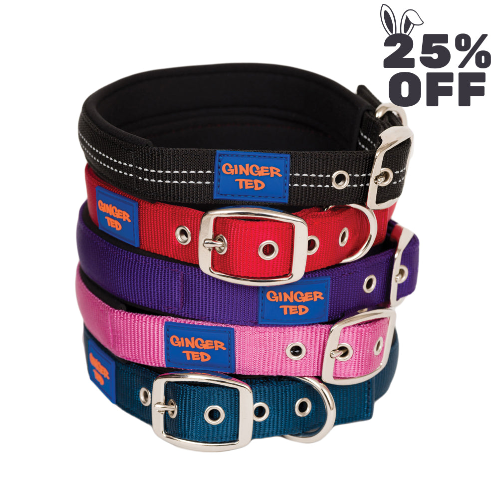Comfort Nylon Padded Adjustable Dog Collar & Lead Value Pack