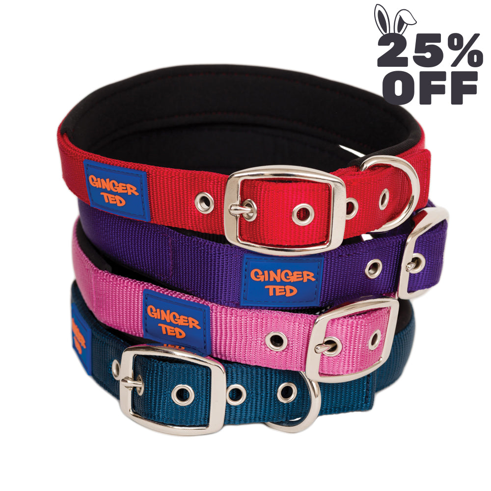 Comfort Nylon Quality Padded Adjustable Dog Collar