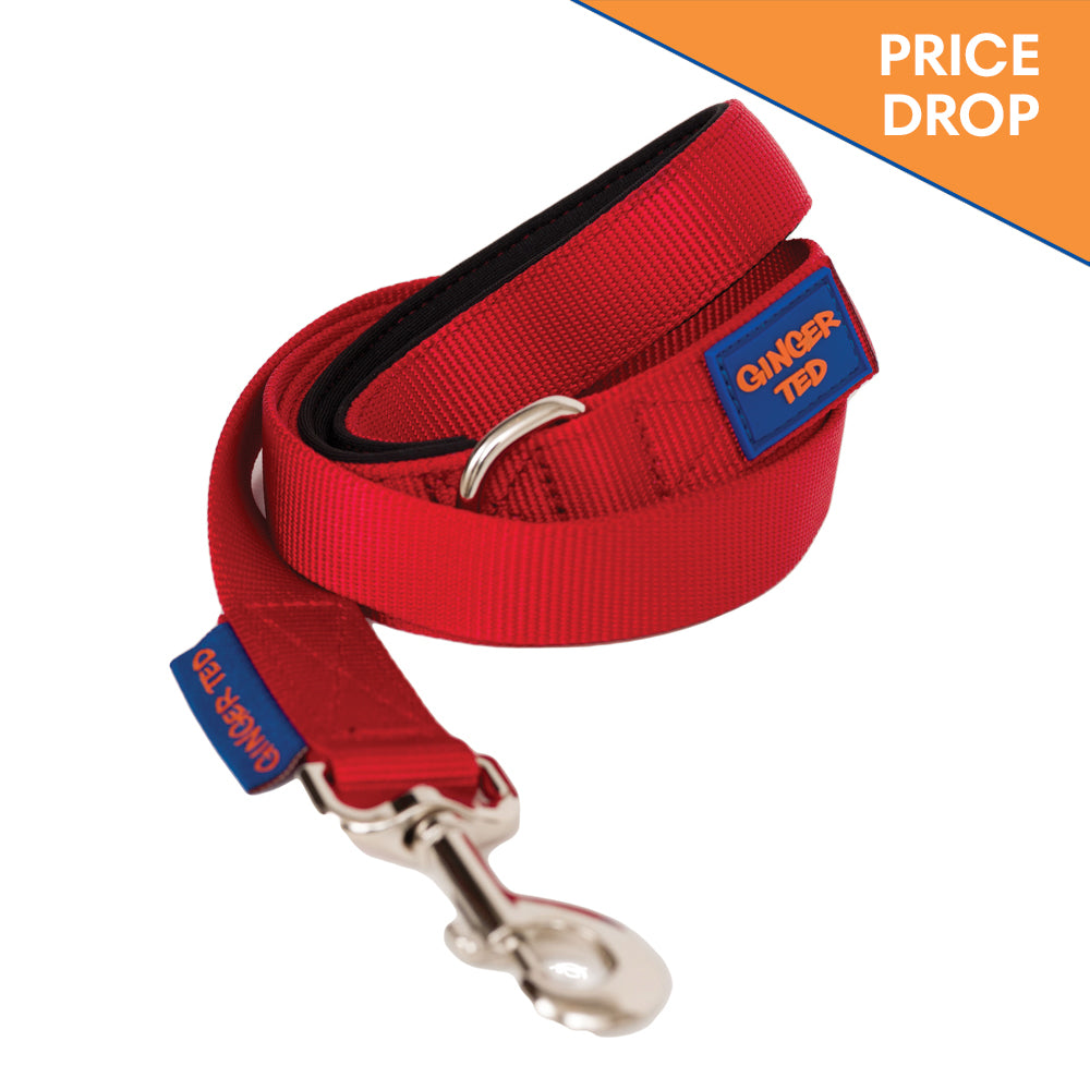 Dog Collars Dog Lead Coupler Leads Ginger Ted Ginger Ted Ltd