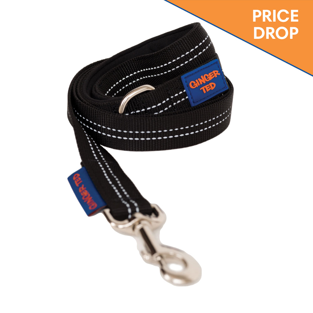 Reflective Comfort Nylon Padded Dog Lead