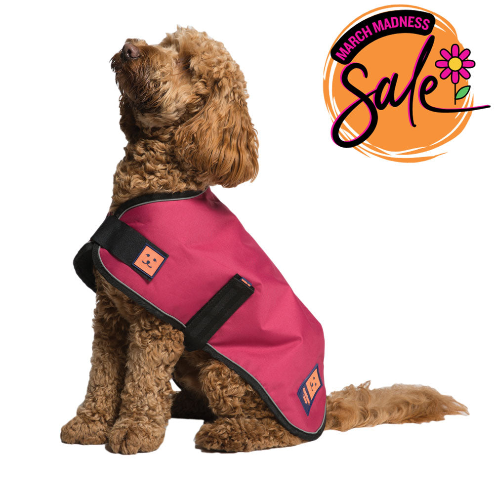 Waterproof Lightweight Dog Coat