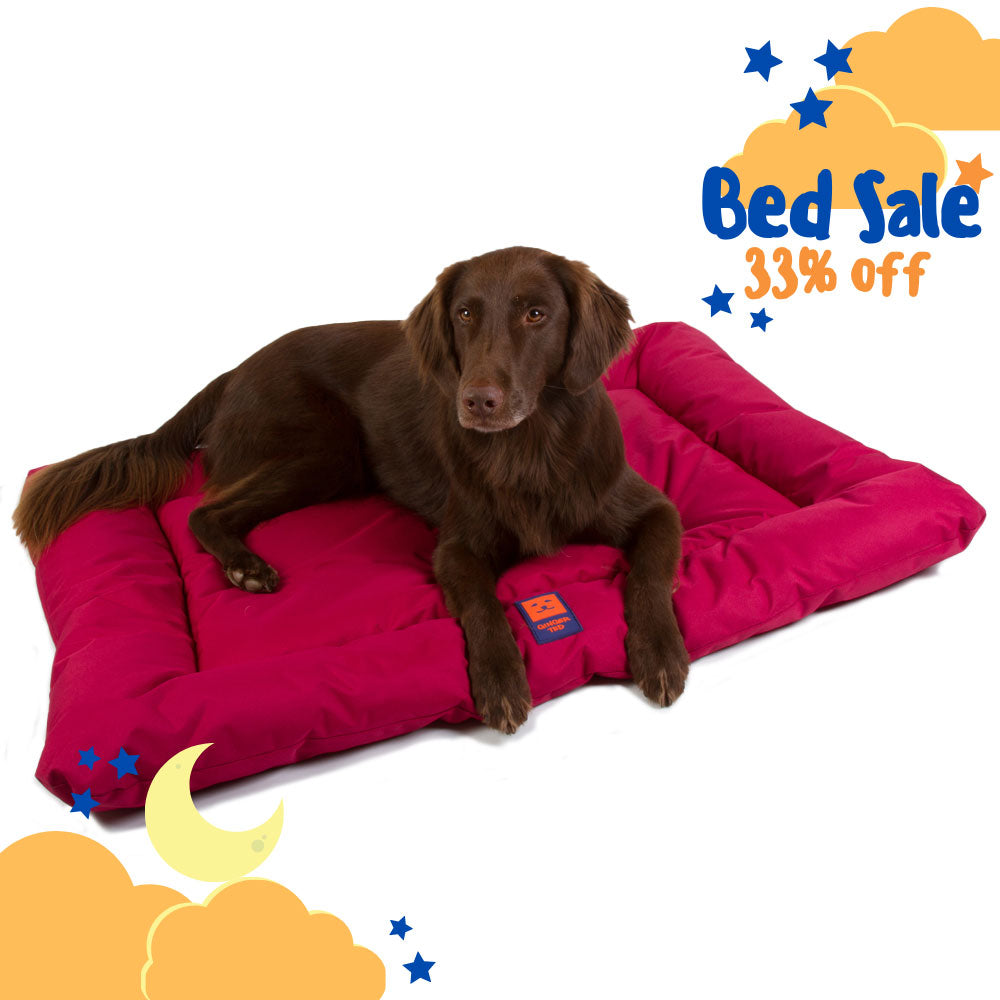 Waterproof Dog Mattress