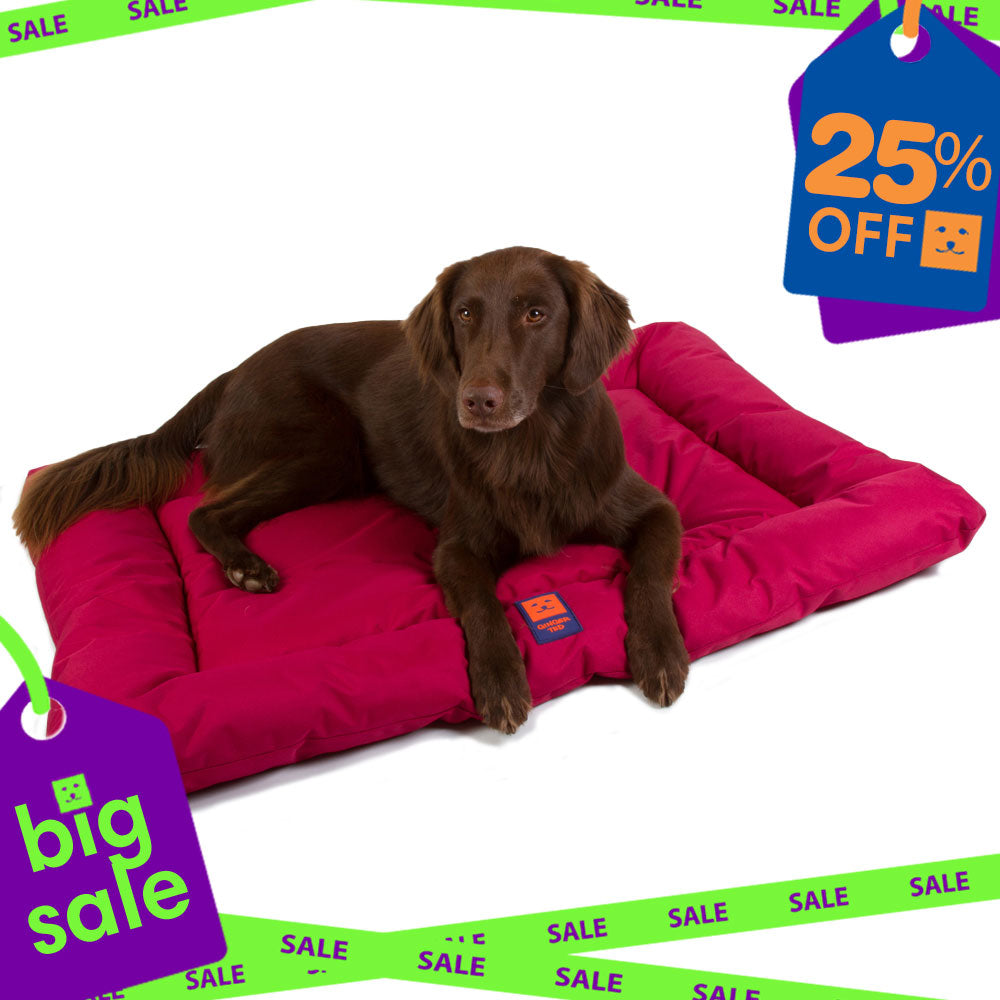 Waterproof Dog Mattress