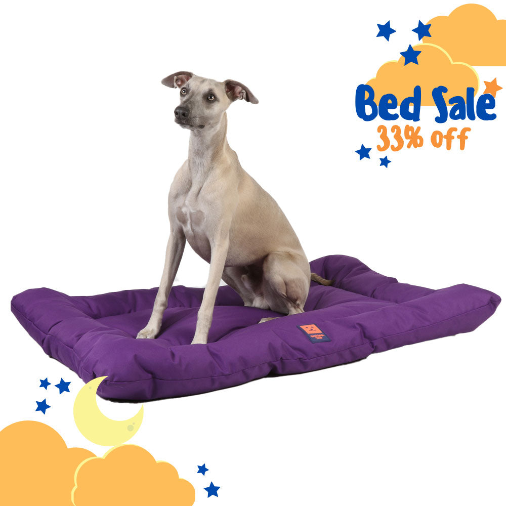 Waterproof Dog Mattress