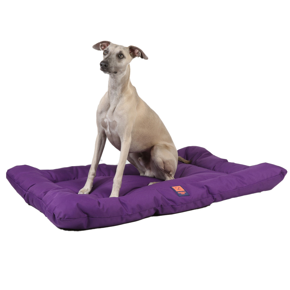 Waterproof Dog Mattress
