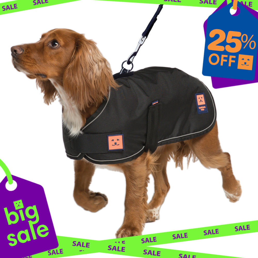 Waterproof Harness Dog Coat with Warm Lining