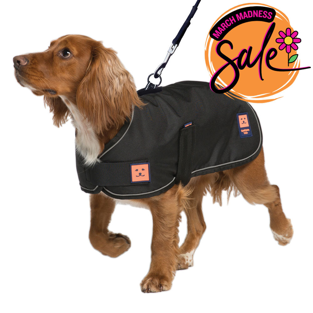 Waterproof Harness Dog Coat with Warm Lining