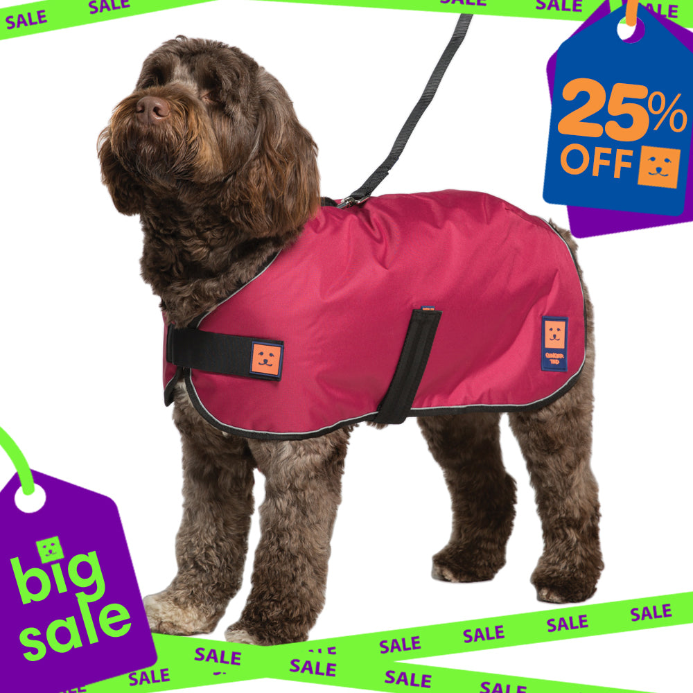 Waterproof Harness Dog Coat with Warm Lining