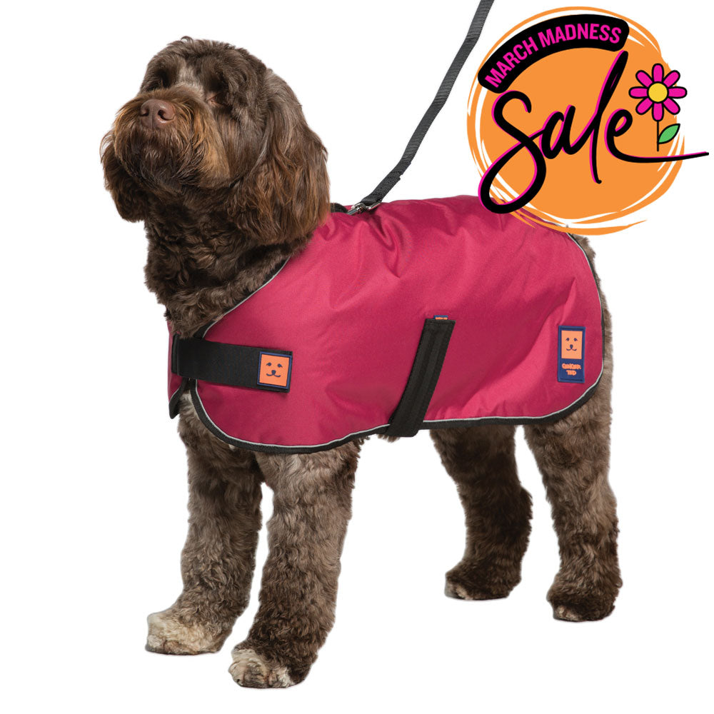 Waterproof Harness Dog Coat with Warm Lining