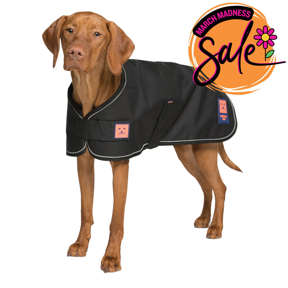 Waterproof Shower Dog Coat with Warm Lining