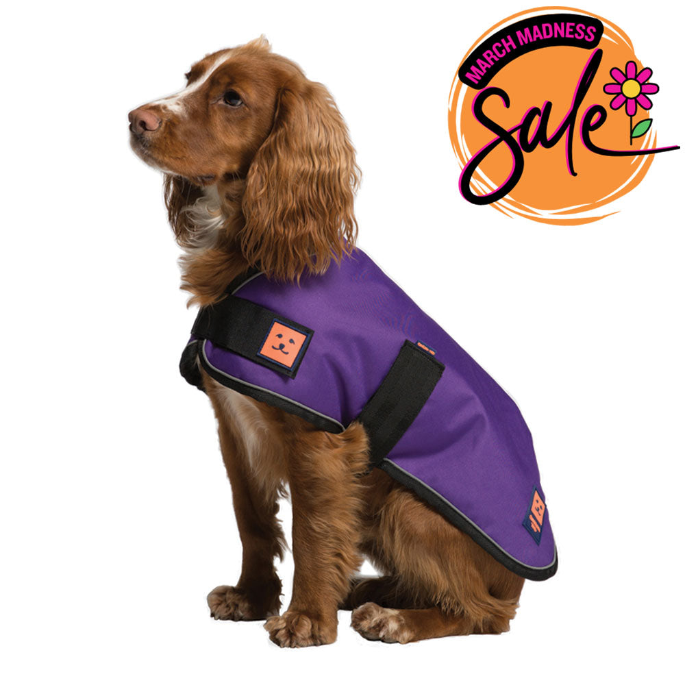 Waterproof Shower Dog Coat with Warm Lining