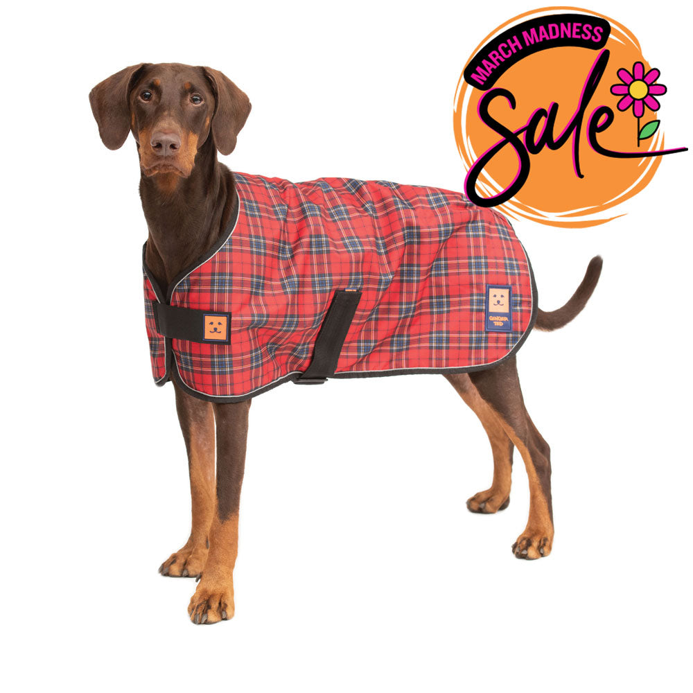 Waterproof Shower Dog Coat with Warm Lining