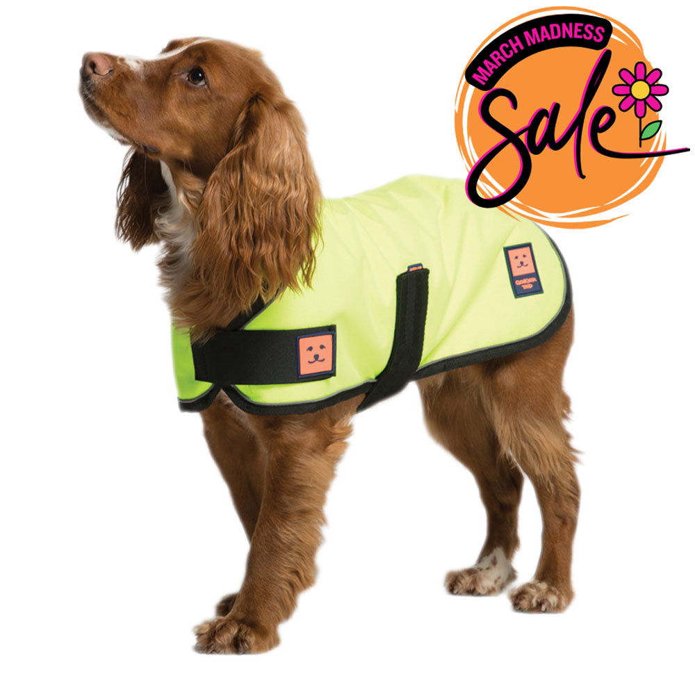 Waterproof Shower Dog Coat with Warm Lining