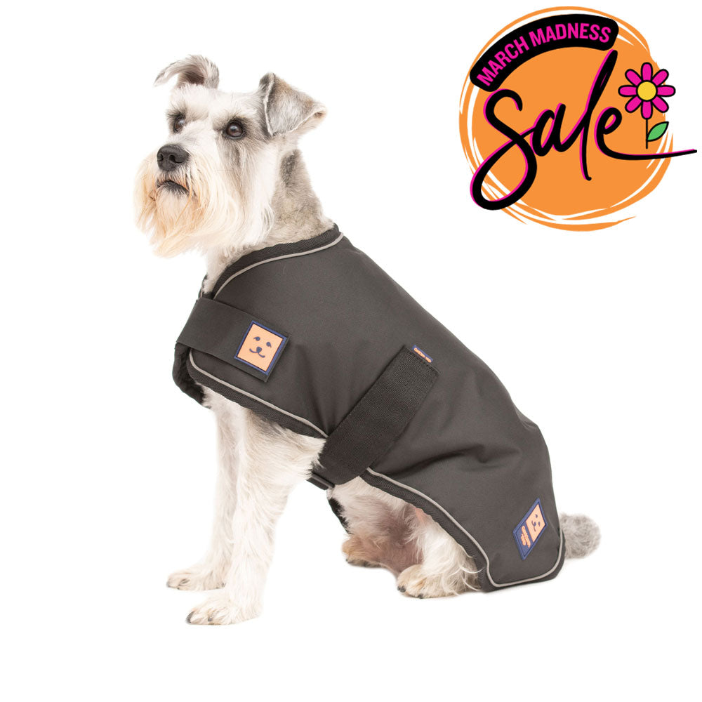 Waterproof Lightweight Dog Coat