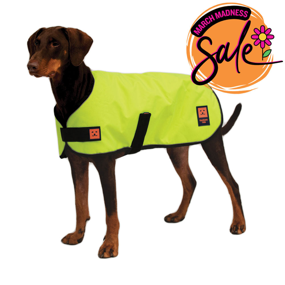Waterproof Lightweight Dog Coat