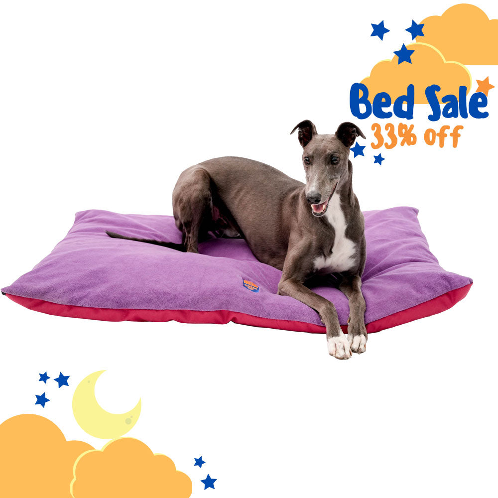 Reversible Doubled Sided Cushion Dog Bed