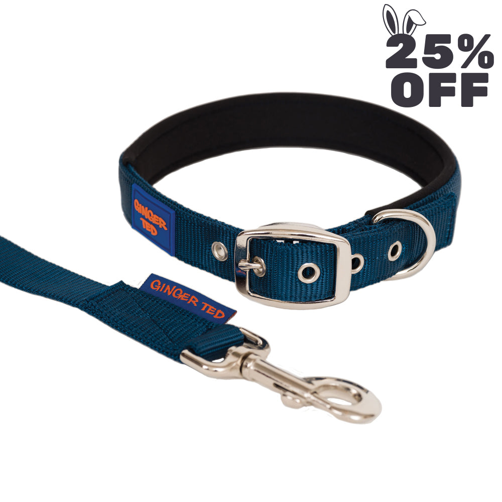 Comfort Nylon Padded Adjustable Dog Collar & Lead Value Pack