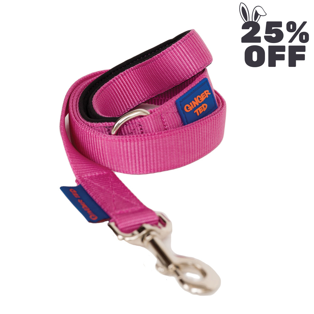 Comfort Nylon Quality Padded Dog Lead