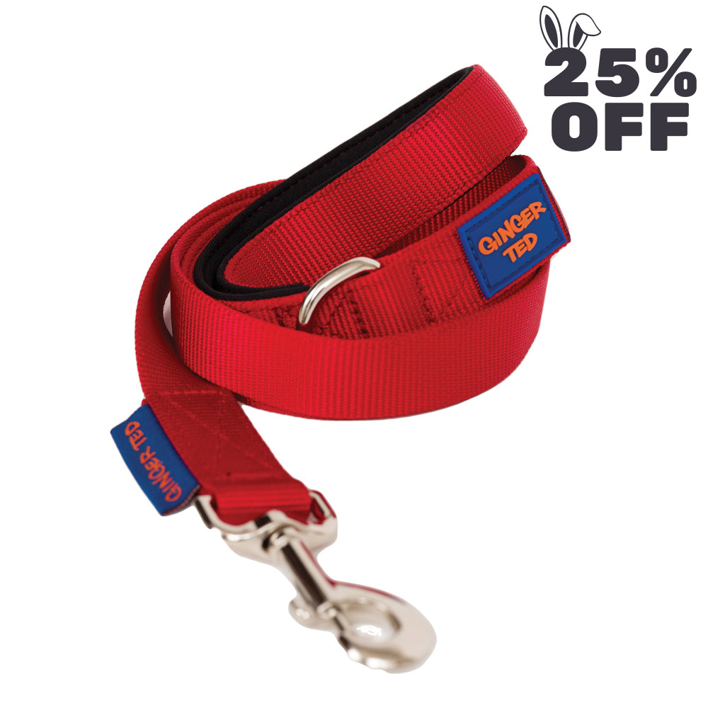 Comfort Nylon Quality Padded Dog Lead