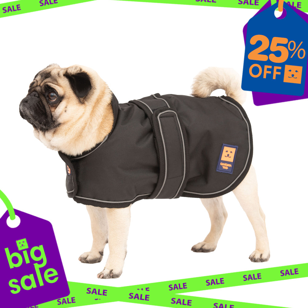 Waterproof Lightweight Pug / Frenchie Dog Coat