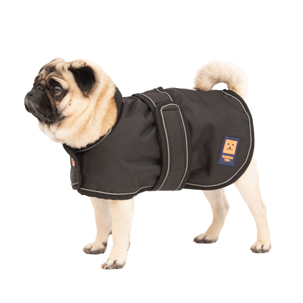 Waterproof Shower Lightweight Pug / Frenchie Dog Coat