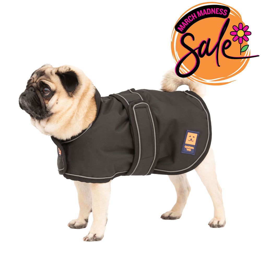 Waterproof Lightweight Pug / Frenchie Dog Coat